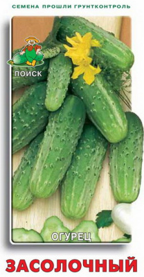 Огурец Засолочный