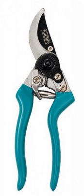 6026