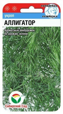 Аллигатор