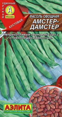 Фасоль Амстер-дамстер