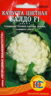 Капуста цветная Балдо