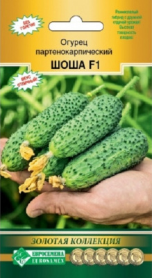 Огурец Шоша (Евросемена)