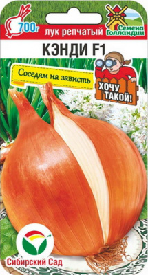 Лук репчатый Кэнди