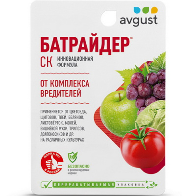 Батрайдер