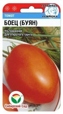 Боец (Буян)
