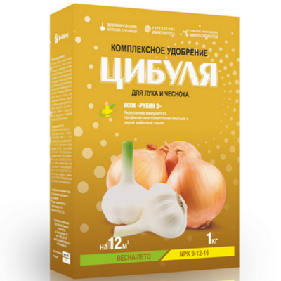 cibula luk