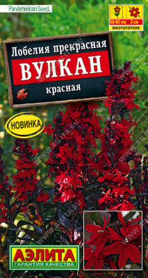 Лобелия Вулкан красная