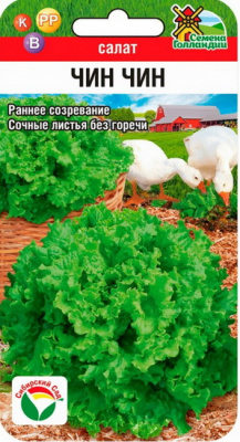 Салат Чин Чин