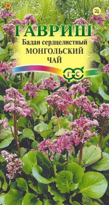 Бадан Монгольский чай
