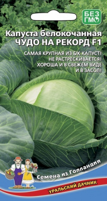Чудо на рекорд