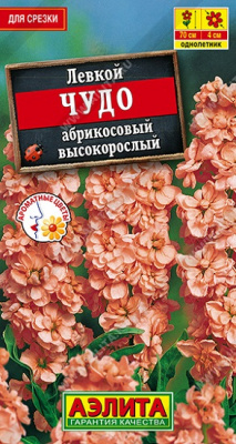 Левкой Чудо абрикосовый