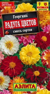 Георгина Радуга цветов махровая, смесь сортов