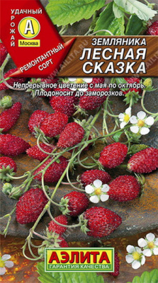Земляника Лесная Сказка