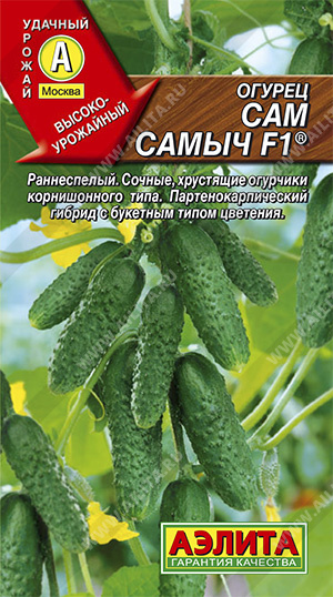 огурец сам самыч огурец сам самыч