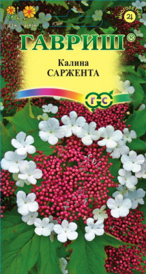 Калина Саржента