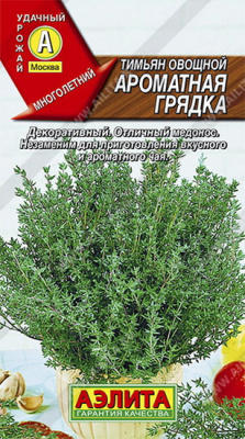 Тимьян овощной Ароматная грядка