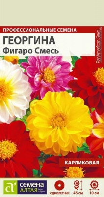 Георгина Фигаро Смесь