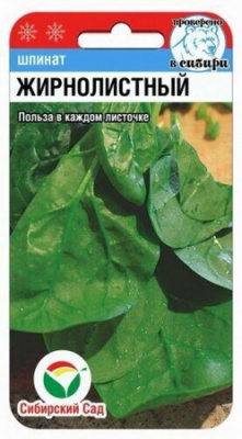 Шпинат Жирнолистный