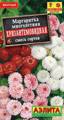 Маргаритка Хризантемовидная
