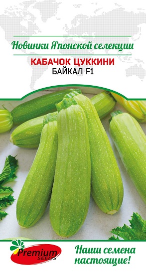 Кабачок Байкал F1
