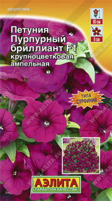 Петуния Пурпурный бриллиант