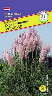 Кортадерия Пампас розовая