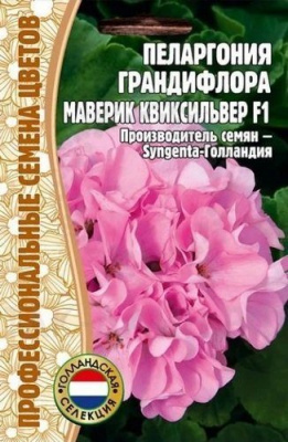 Пеларгония Маверик Квиксильвер