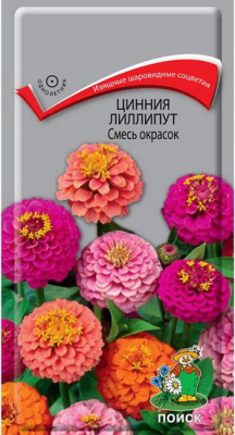Цинния Лиллипут смесь окрасок