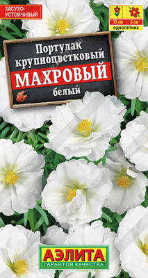 Портулак Махровый белый