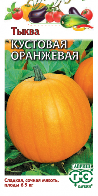 Тыква Кустовая оранжевая