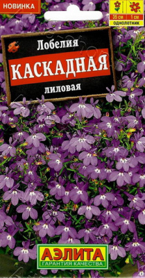 Лобелия каскадная лиловая