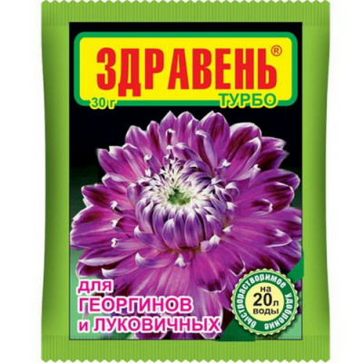 zdraven_georginjv_i_lukovichnyh