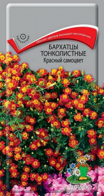 Бархатцы Красный самоцвет