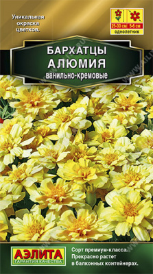 Бархатцы Алюмия ванильно-кремовые