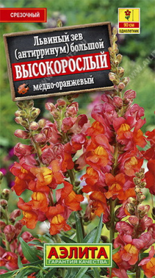 Львиный зев Высокорослый медно-оранжевый