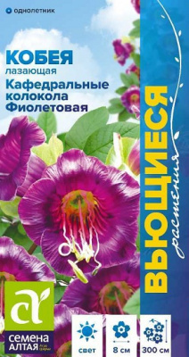 Кобея Кафедральные колокола Фиолетовая