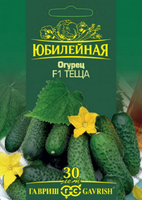 Огурец Теща