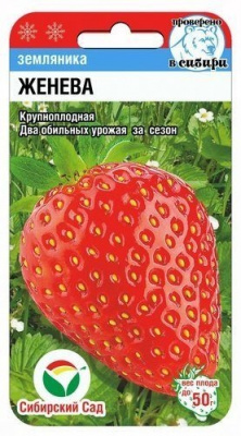 Клубника Женева