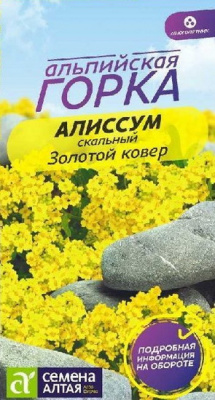 Алиссум Золотой ковер