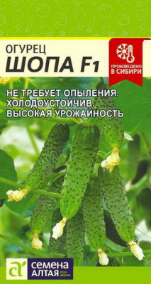 Огурец Шопа
