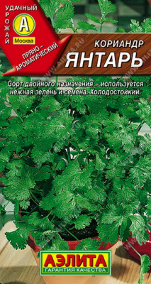 Кориандр Янтарь