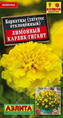 Бархатцы Лимонный карлик-гигант