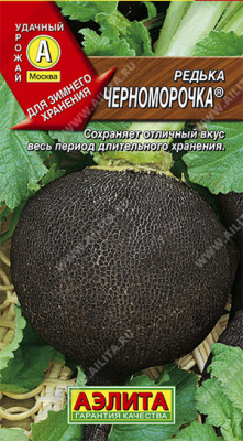 Редька Черноморочка