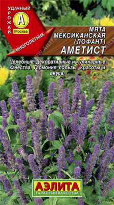 Мята мексиканская Аметист