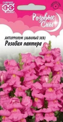Чаровница розовая 