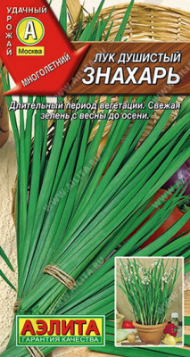 Лук душистый Знахарь