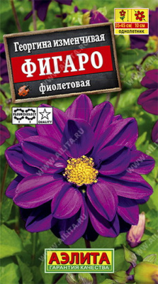 Георгина Фигаро