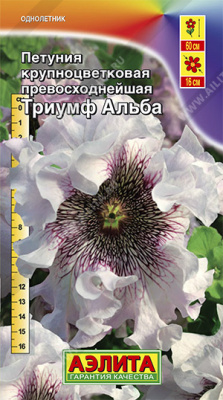 Петуния Триумф Альба