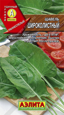 Щавель Широколистный