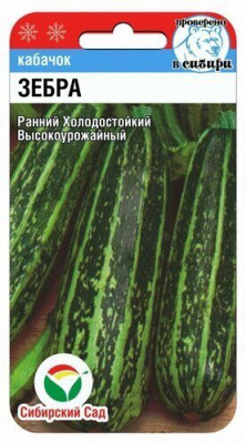 Кабачок Зебра